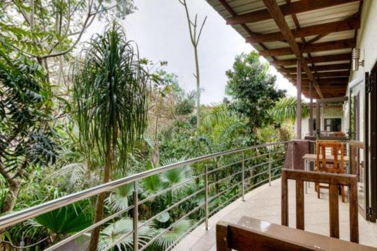 Forest Lodge Saint Lucia Estuary المظهر الخارجي الصورة