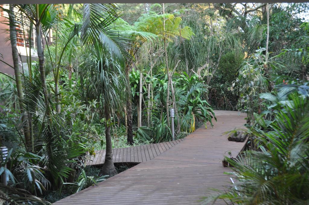 Forest Lodge Saint Lucia Estuary المظهر الخارجي الصورة