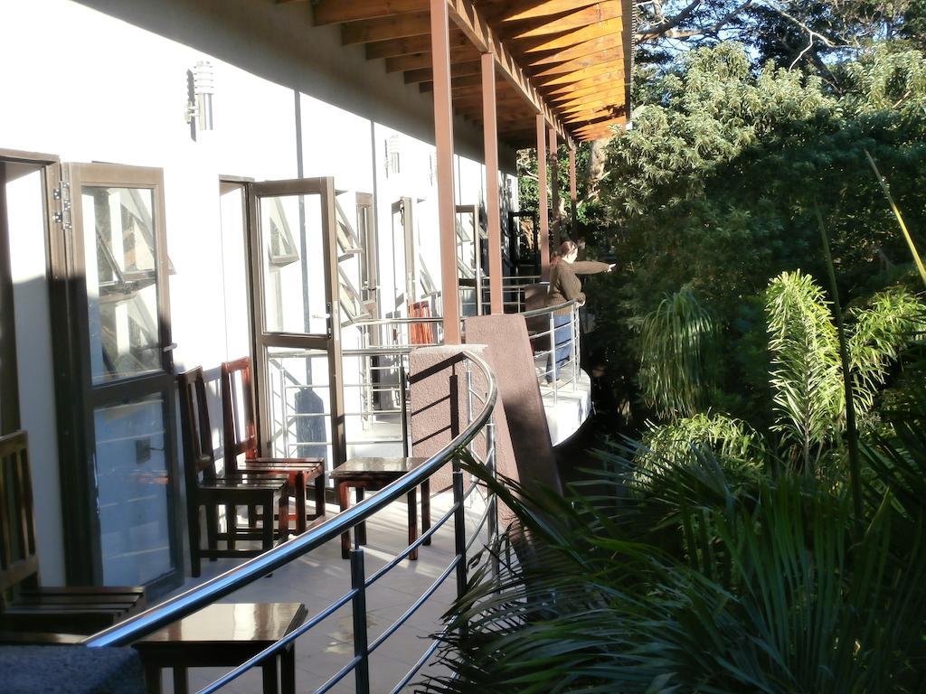 Forest Lodge Saint Lucia Estuary المظهر الخارجي الصورة