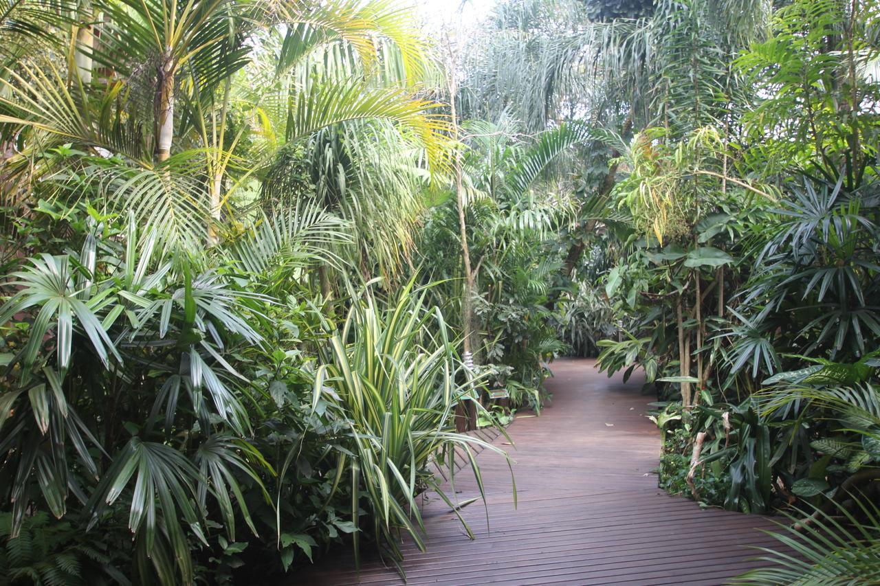 Forest Lodge Saint Lucia Estuary المظهر الخارجي الصورة