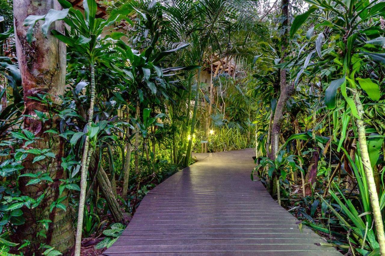 Forest Lodge Saint Lucia Estuary المظهر الخارجي الصورة